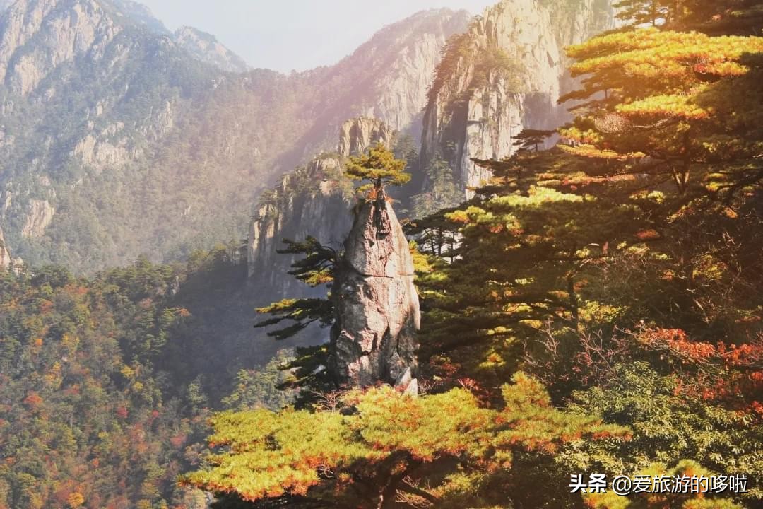 The best place to travel in October-November, the late autumn tour bus is about to depart