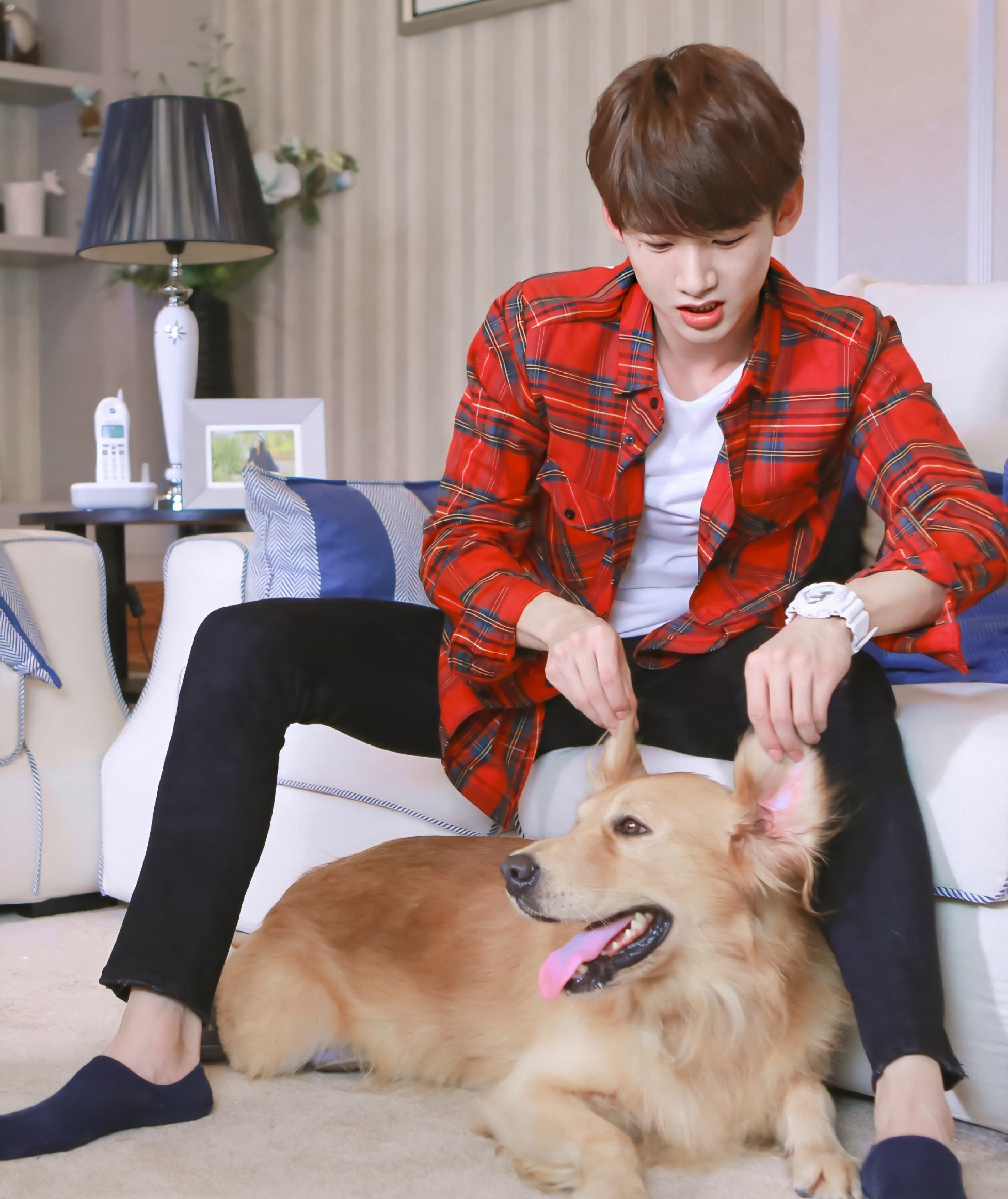 《夏至未至》，最好的青春，最美的恋爱