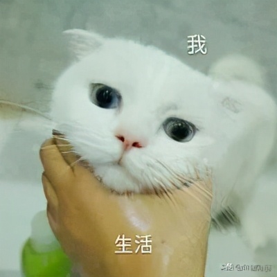 中国股市医药跌了近30%，抄底的时机到了吗？