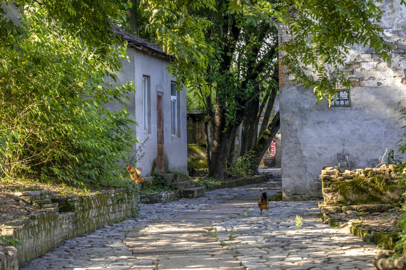 铜陵的一处江心小岛，长江江豚在这里与人类和谐共生