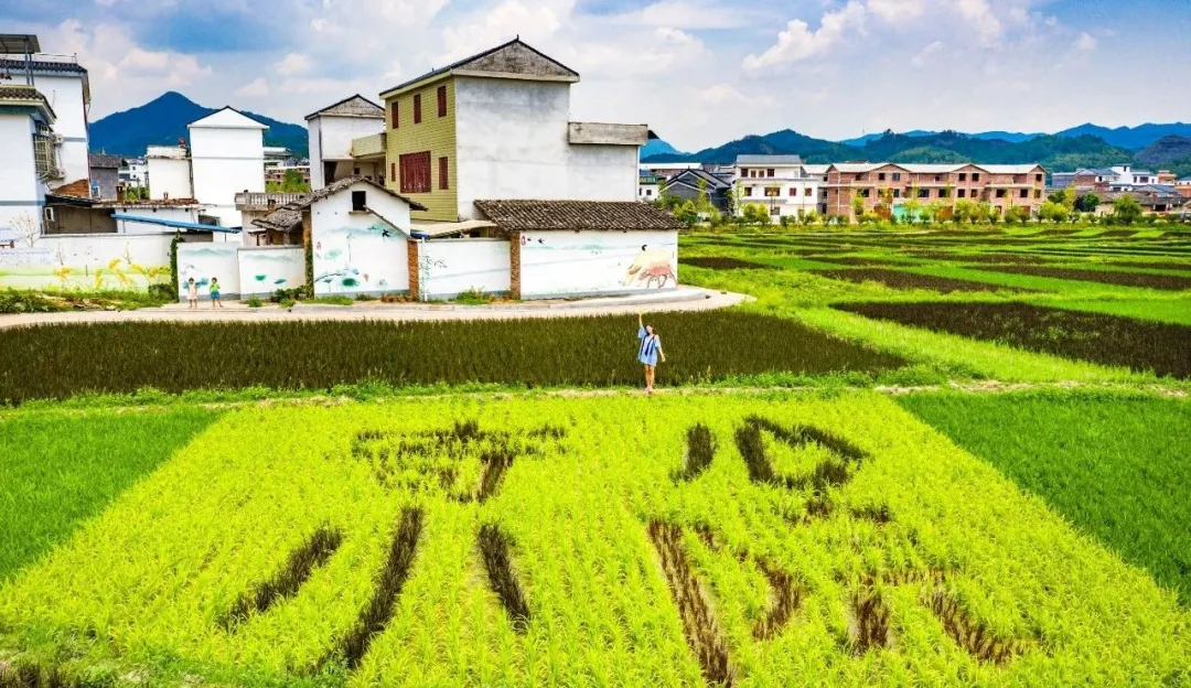 高颜值赏秋民宿推荐,住在山水之间,品韶关最美秋季!还有精彩赛事等你来参加