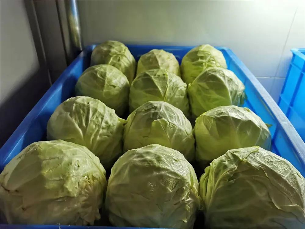 兵哥哥的炊事班里有多整齐？青菜辣椒就忍了，