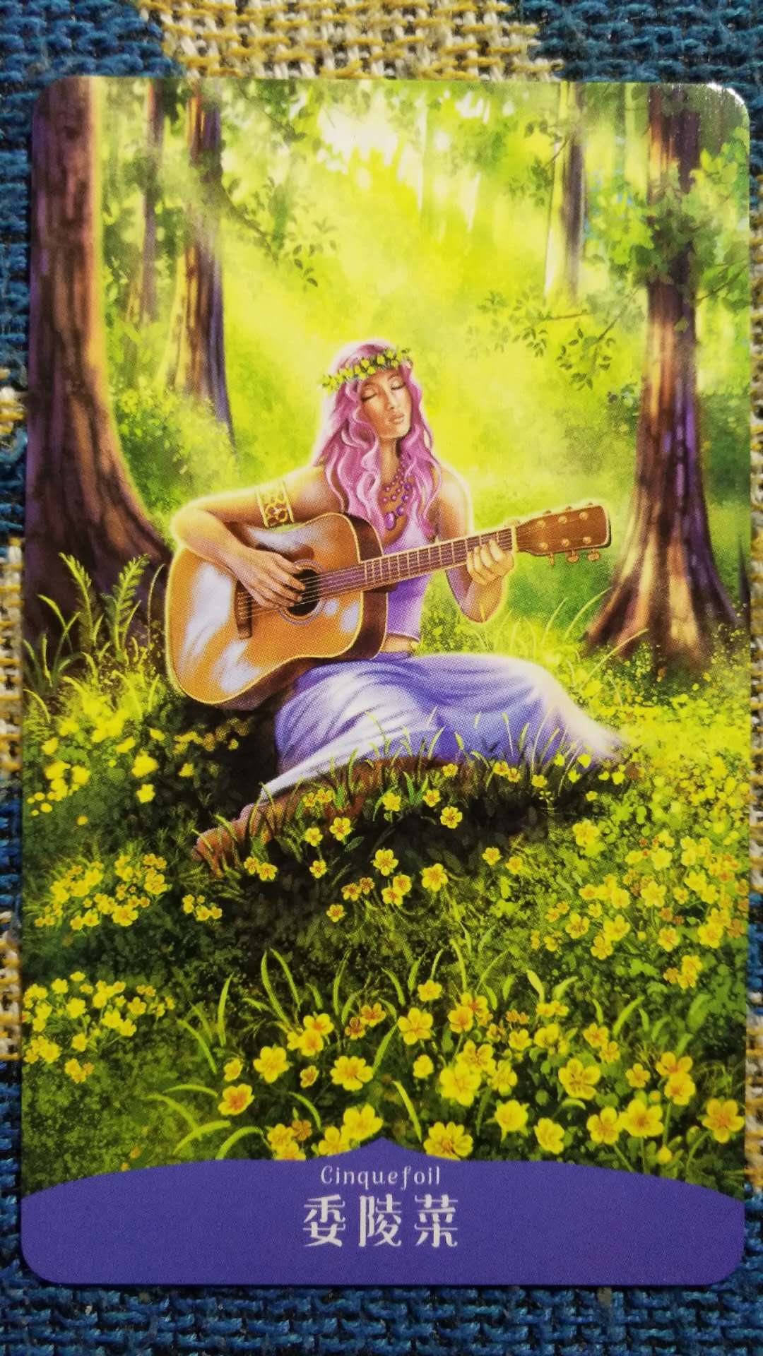 3月27日 4月2日你的幸运指引之花你知道吗 选择它给你指引 明修善静 Mdeditor