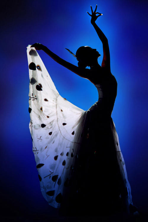 孔雀女王杨丽萍：结婚生子不是人生的必须，我只是生命的体验者