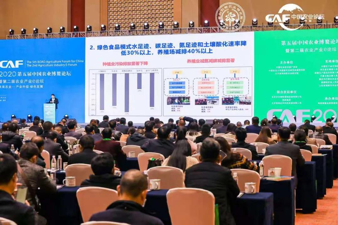 让定心绿茶走出国门，享誉世界