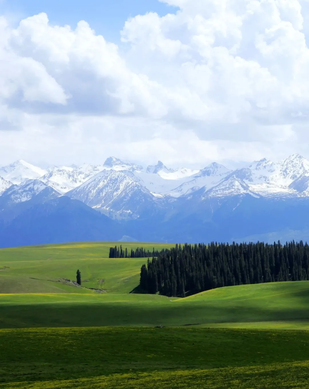 喀拉峻生态旅游区喜迎八方客
