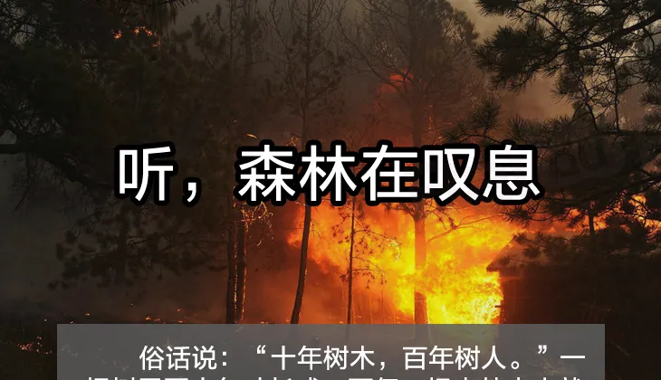 今日平南网 今日平南网