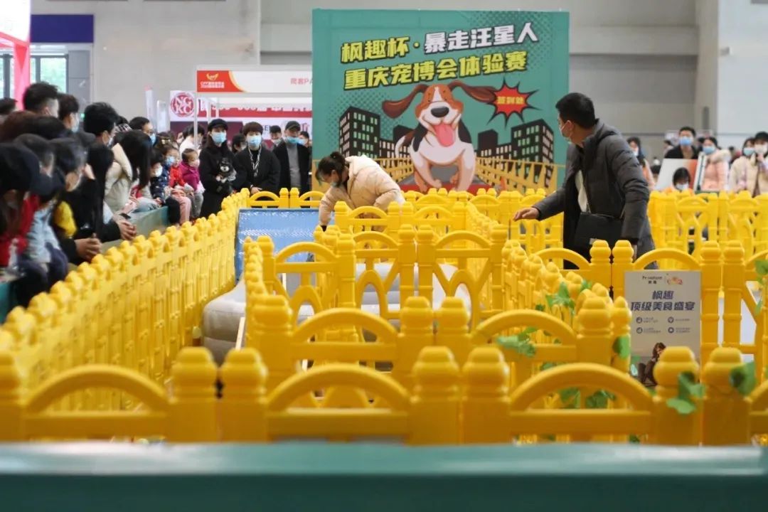 CPF西部重庆展 | 当下可为 未来可期，全力以赴只为更精彩的绽放