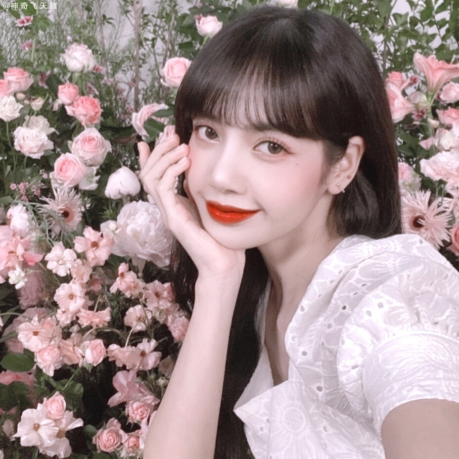 Lisa頭像合集：熱愛可抵歲月漫長