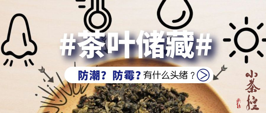 不同發(fā)酵儲藏難度各異 茶葉防潮防霉請看這里