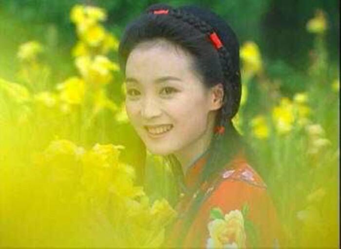 《情深深》原著：萍萍嫁人生子，被陆振华逼得