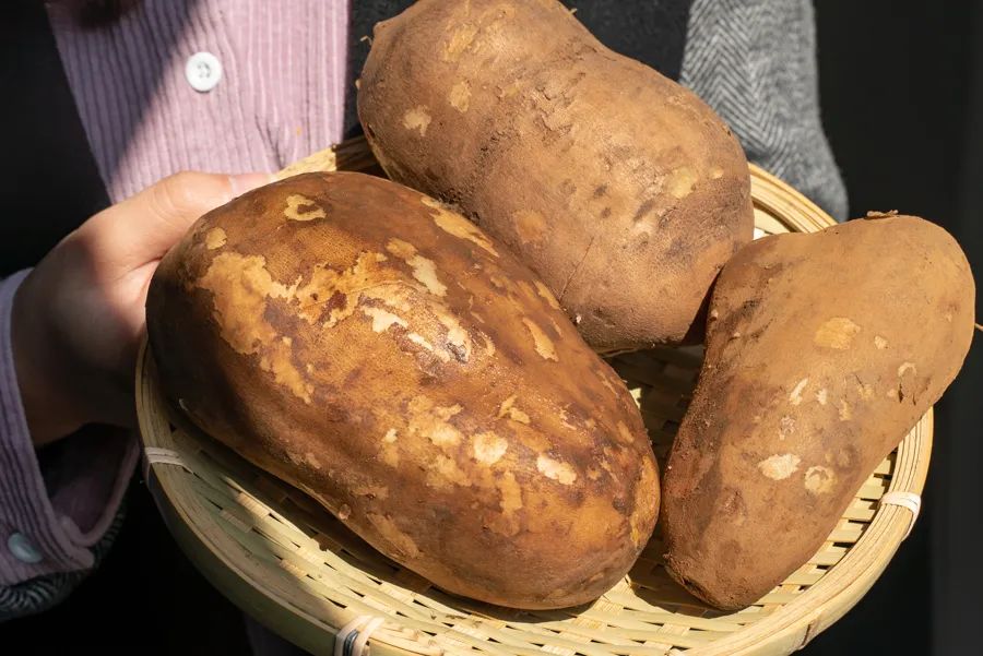 我淘到的这22种新奇水果，你不可能全吃过