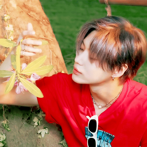 韩网帖子,光个人演唱会就开了65场的,shinee泰民的故事.