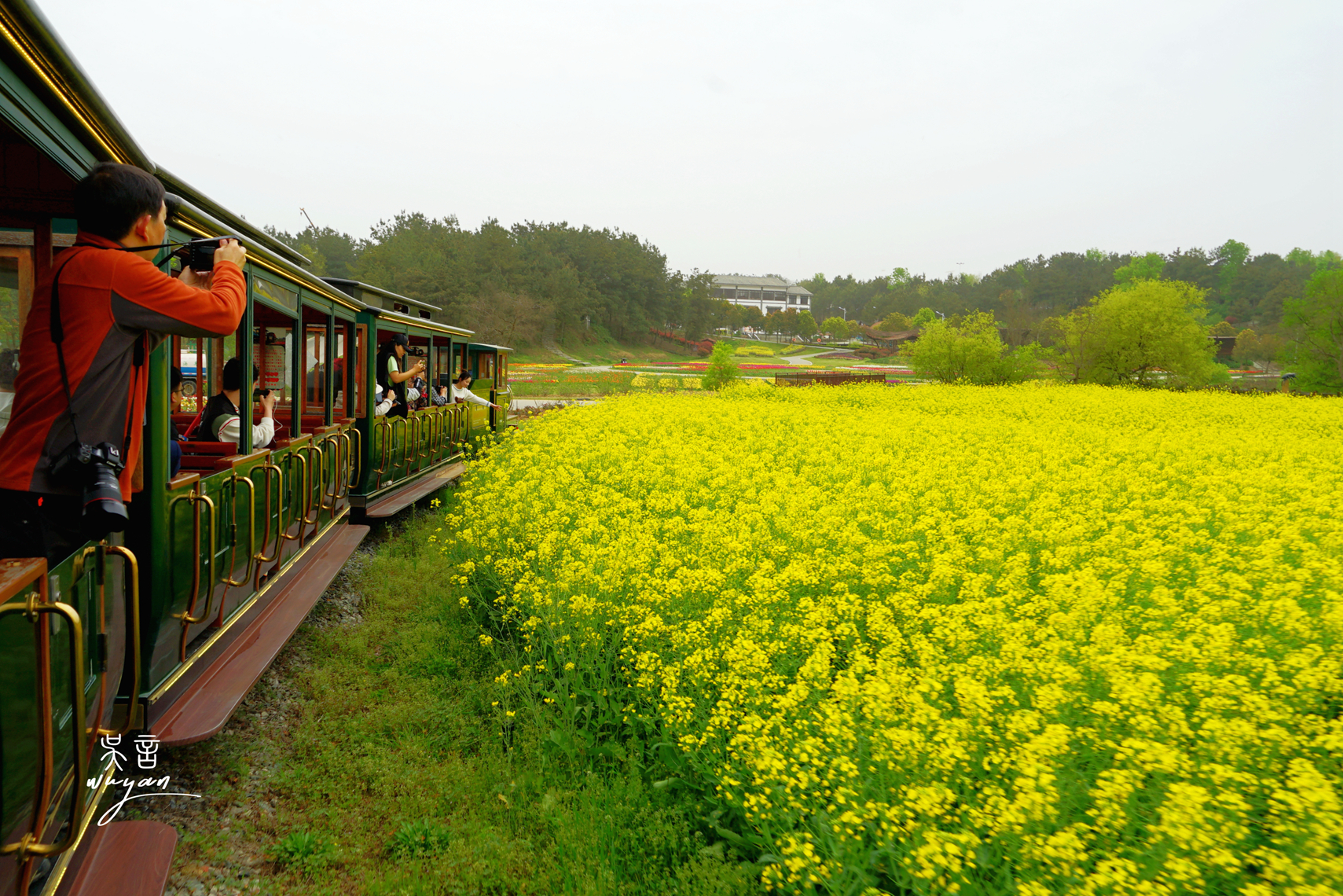 盘点武汉黄陂踏青赏花祈福网红景点花花世界心花怒放