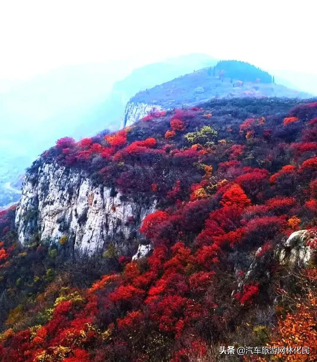 绿水青山带笑颜鲁商 • 红叶柿岩纯玩一日游