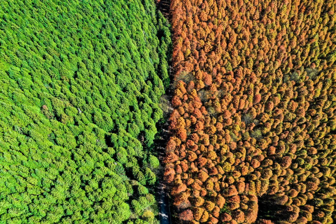 The most beautiful place to travel in November, no strategy and no money, which one do you want to go to?