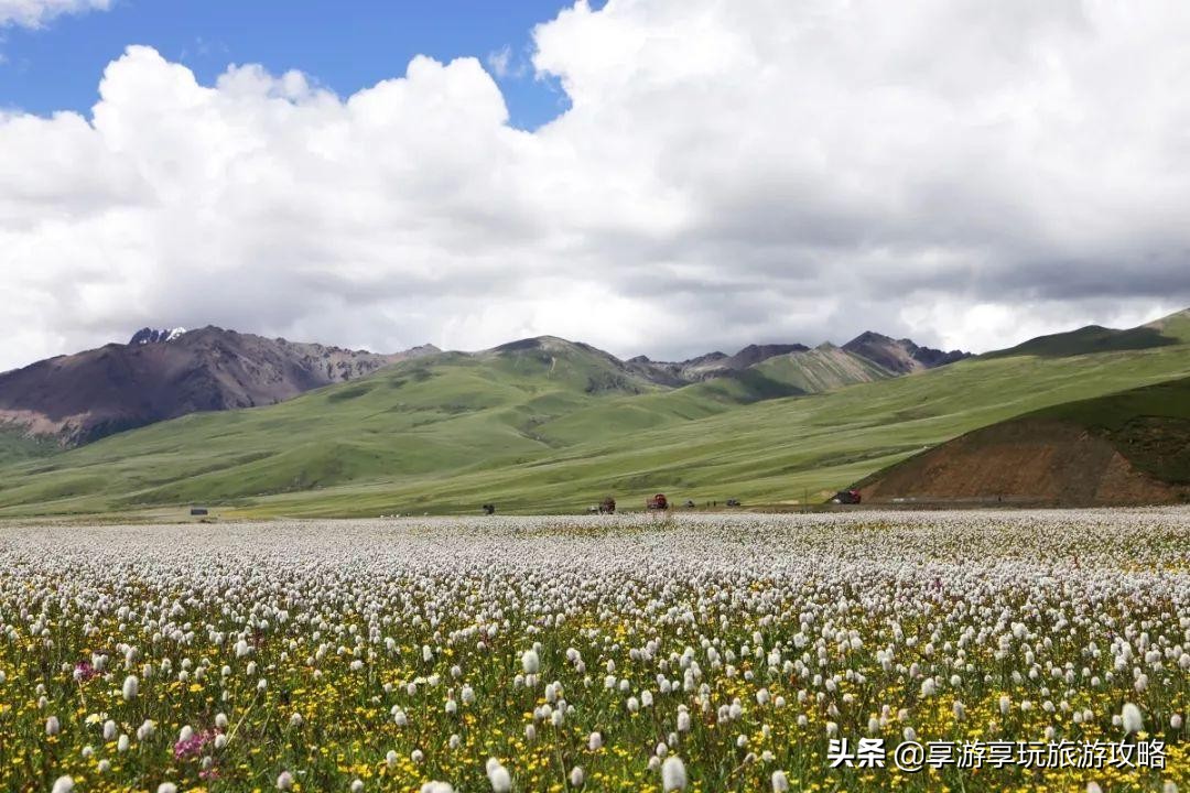 天气入夏酷热难当，全国最值得打卡的避暑地盘点。收藏这篇不迷路