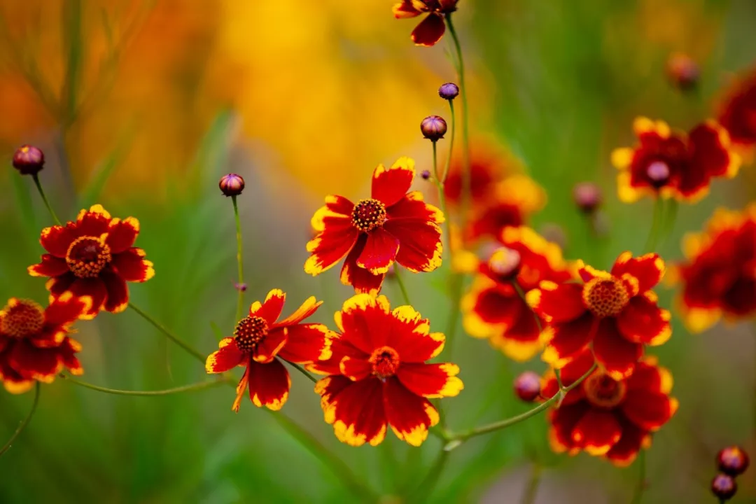 正确的炒股姿势：从不对割肉感到困惑，是成功交易者的必要条件