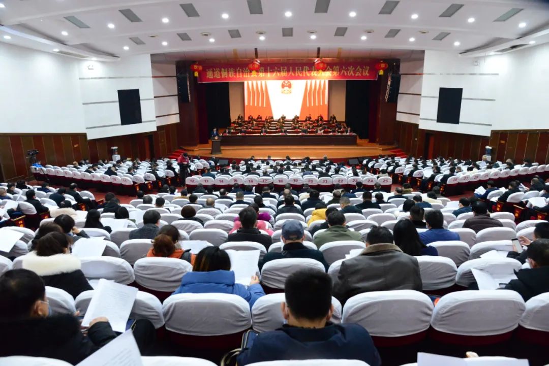 通道侗族自治县第十六届人民代表大会第六次会议胜利闭幕