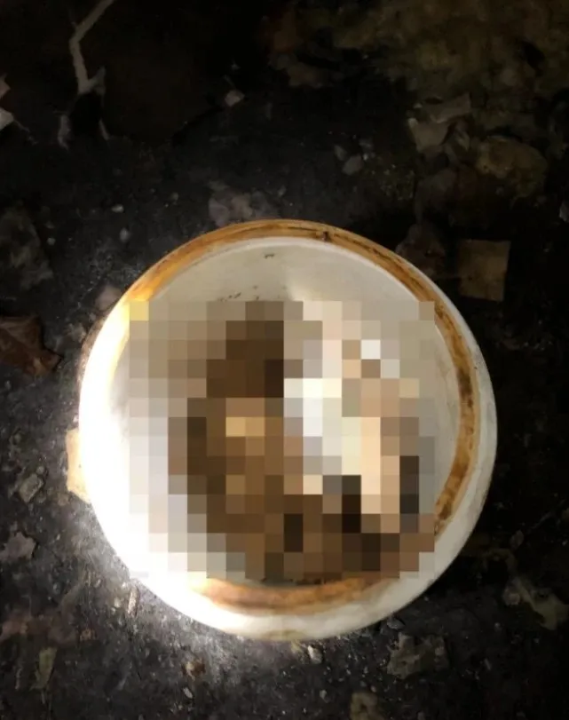 阴暗地下室里的罐子，装满了人体部位器官...