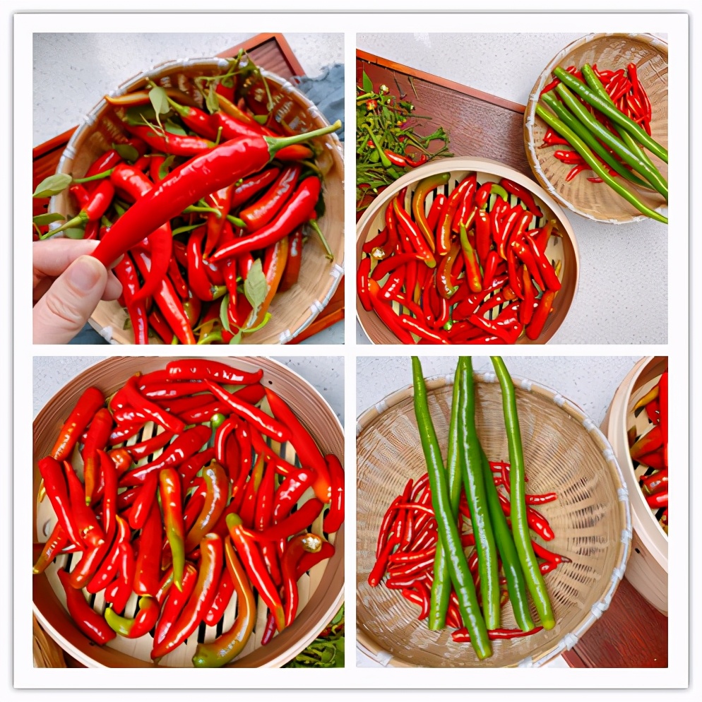 自製蒜蓉辣椒醬，掌握3點，不長白花耐保存，蒜香濃郁拌啥都香
