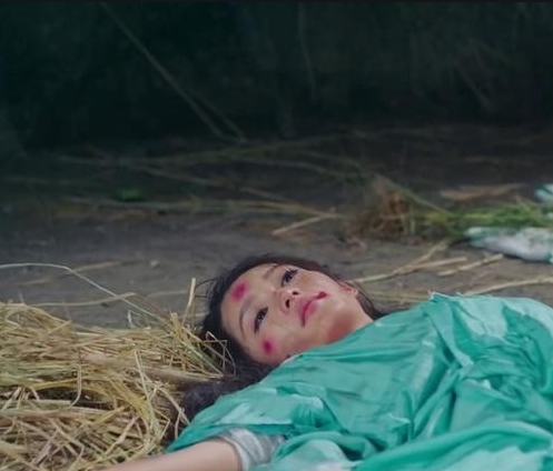 楚乔传：元淳被士兵脏了身子，为何魏舒烨不嫌