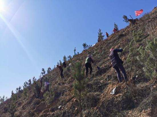 走好生态经济协调发展人与自然和谐共生之路