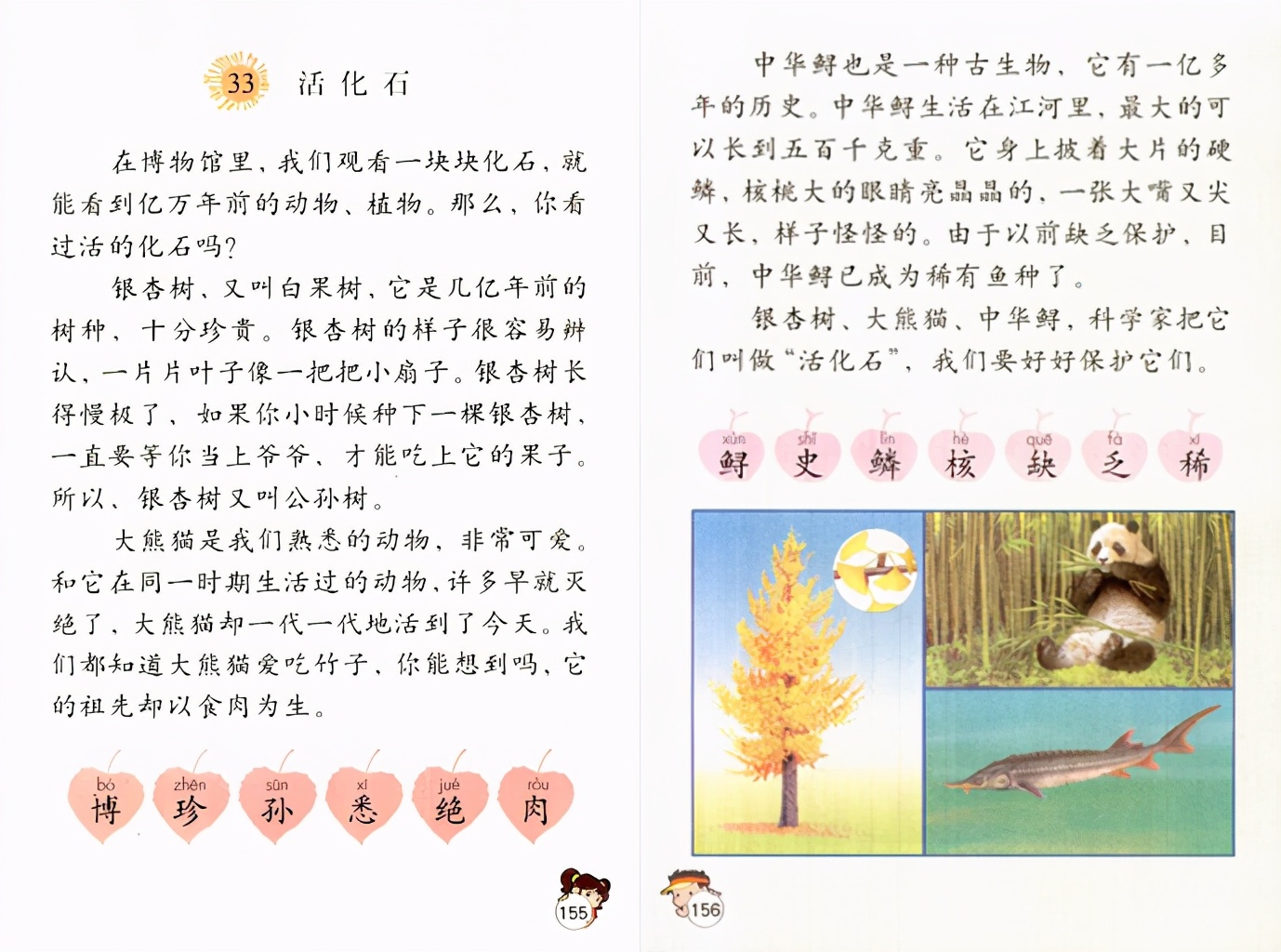 那些被称为"活化石"的物种,真的停止进化了吗?