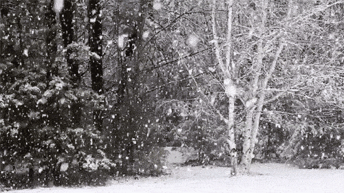 十首听雪诗词，感受古人诗意的冬天-第16张图片-诗句网