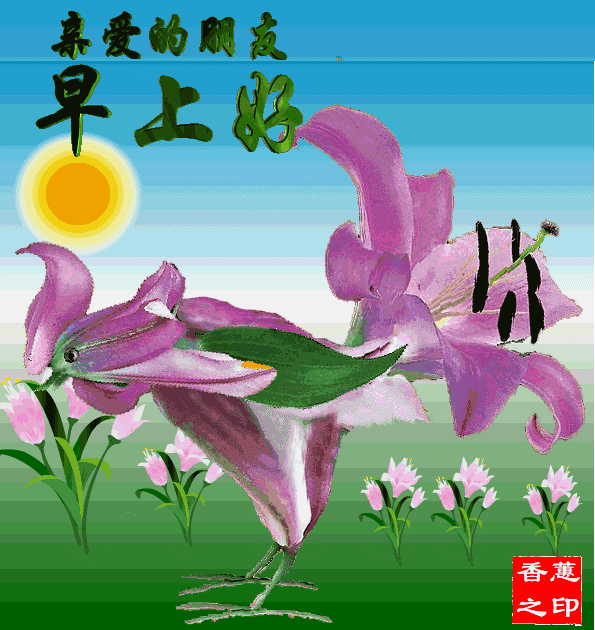 星期三最新版早安短信问候祝福语大全 把最美的祝福送给你图片
