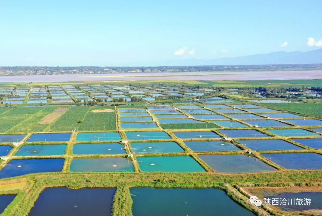 秋醉洽川 （附国庆活动安排）