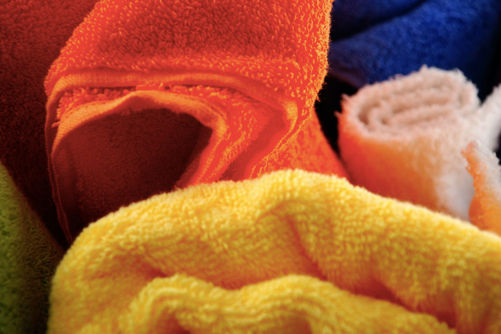 致敬联合国成立75周年，上海金堂为可持续发展建言献策