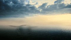 Graceful plunge into public praise of new theatrical work to be not protected, take change specially good effect cheap, audience evaluation: 