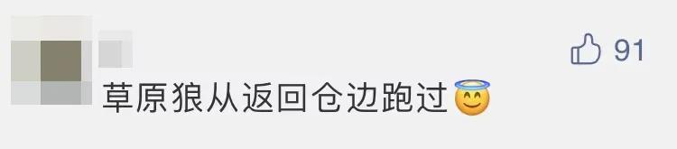 热议-嫦娥五号着陆瞬间:小动物抢镜,预示着什么、到底是玉兔还是沙狐