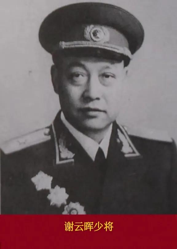 �й������ž��״����θ���������ί����