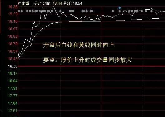 北大女博士罕见发声：如果有50万资金，高分红的