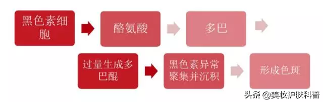 三月不防晒，五月斑上来，如何预防和治疗日晒斑-第3张图片-农百科