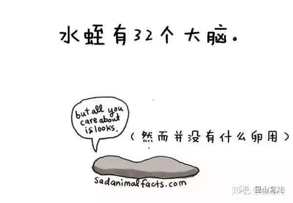 30個(ge) 有趣的科普小星空体育官网入口网站，你知道幾個(ge) ?