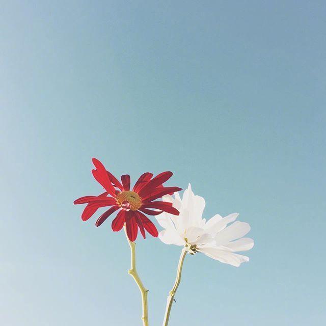 七月最勵志的說說,發朋友圈激勵人心