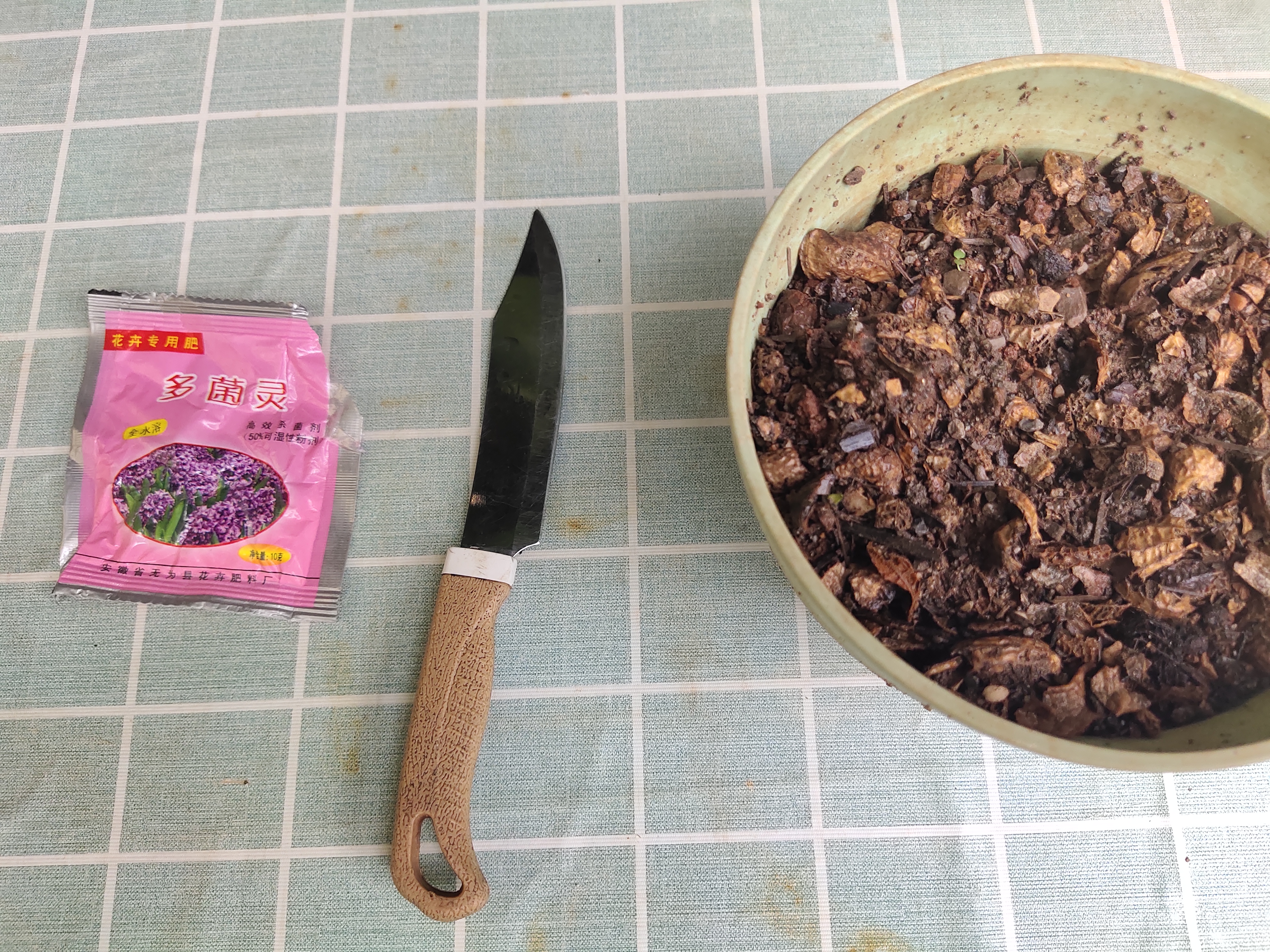 圖解紅掌分株繁殖過程,現在分出小苗,養護得當秋天就能開花