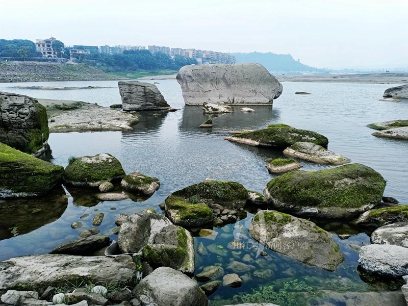 泸州春光好！踏春寻景，到弥陀中坝赏酒城江