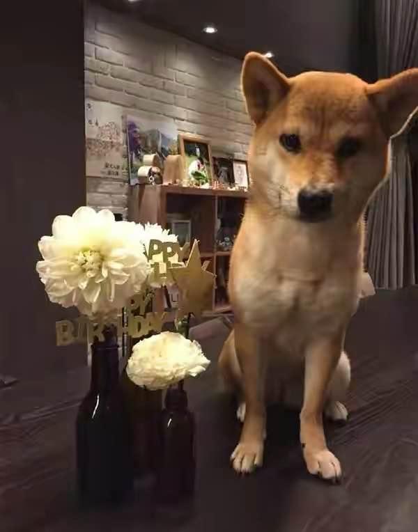 ELLA豪宅内景曝光，3亿复式楼能跑步，韩剧女主即视感
