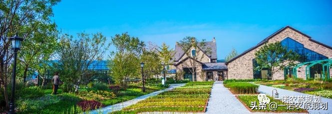 乡村振兴的九种发展模式