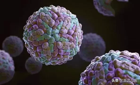 农乐生物 疫情来袭,来了解一下微生物!
