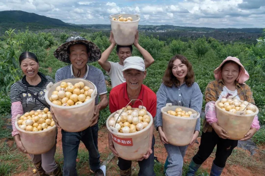 互联网时代的《山海情》：电商平台的助农故事