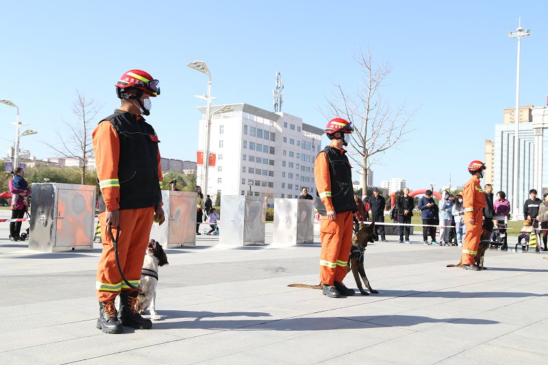 甘肃平凉：消防救援犬首次亮相 居民群众集体学消防