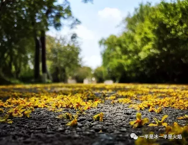 散文诗:走吧,一起去看看秋天-第1张图片-非凡网 散文诗:走吧,一起去看看秋天-第1张图片-非凡网