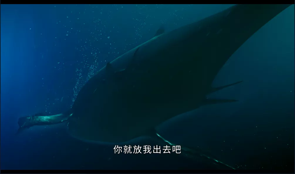 九年了,她的演技还是那么烂