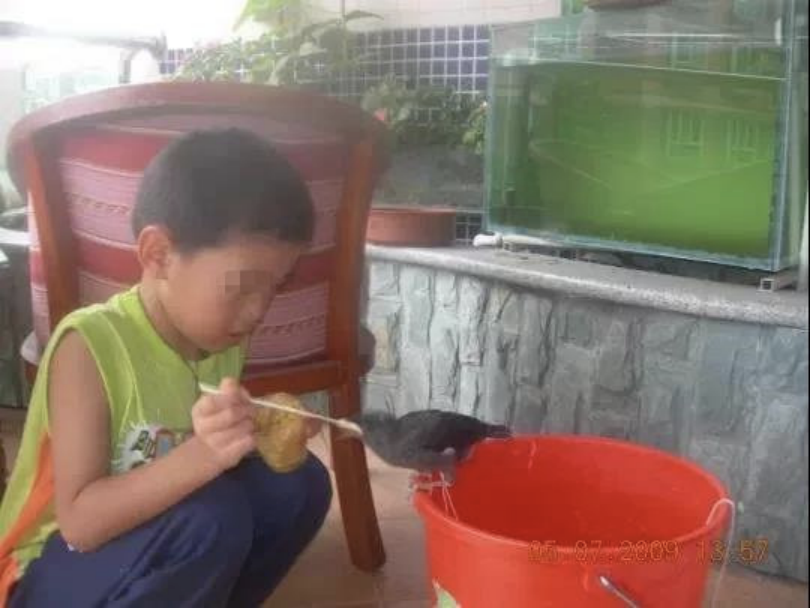 中国留学生刚入学美国名校就“意外”去世，别急着把炮火指向父亲
