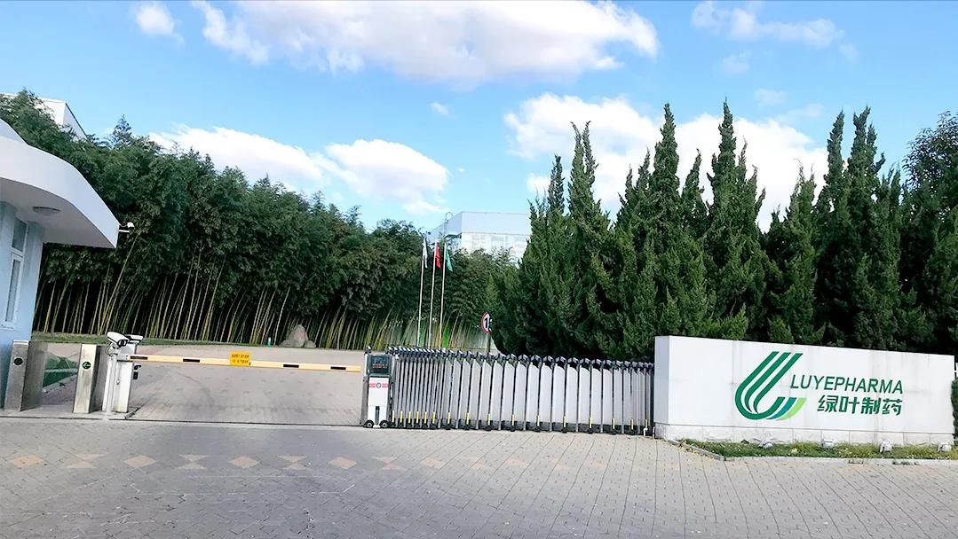 绿叶也想做红花，绿叶制药的新药有财报上的数据支撑吗？